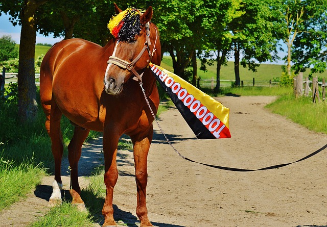 全面压制蓝 全面压制蓝