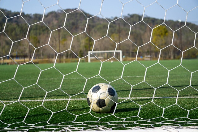 组委会的用 组委会的用