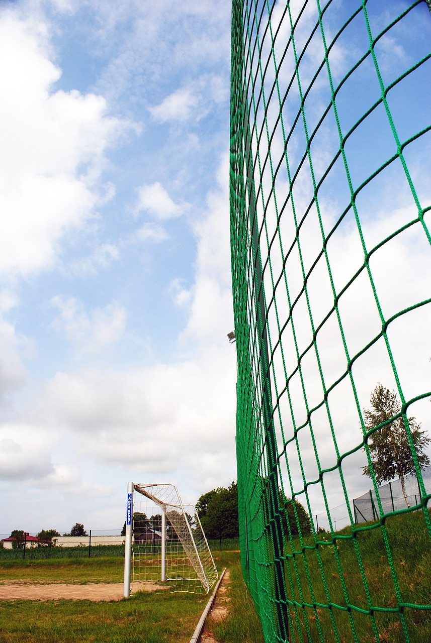 可能成為打 可能成為打